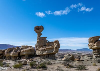 Famatina Expediciones - San Juan - Parque Provincial Ischigualasto
